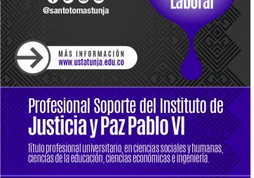 PROFESIONAL SOPORTE DEL INSTITUTO DE JUSTICIA Y PAZ PABLO VI.